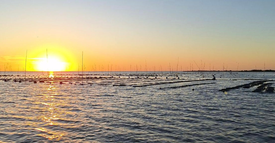 Sunset over a body of water with fishing nets in the foreground