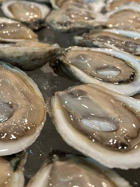 Close-up of raw oysters on a dark surface