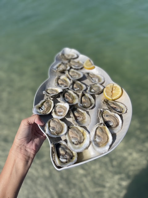 Shell with oysters and lemon held over water