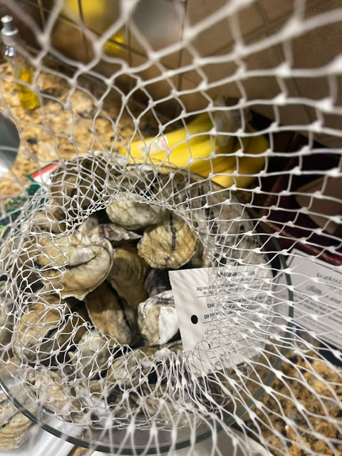 Oysters in a netted container with a blurred background