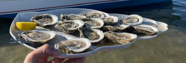 Oysters being served!