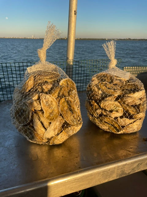 Two bags of oysters on a metal surface with water in the background