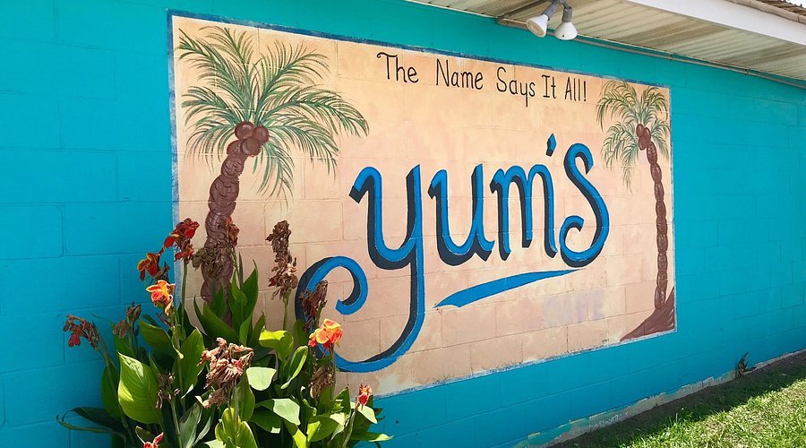 Mural of 'yumós' with palm trees on a blue wall, featuring the text 'The Name Says It All!'.
